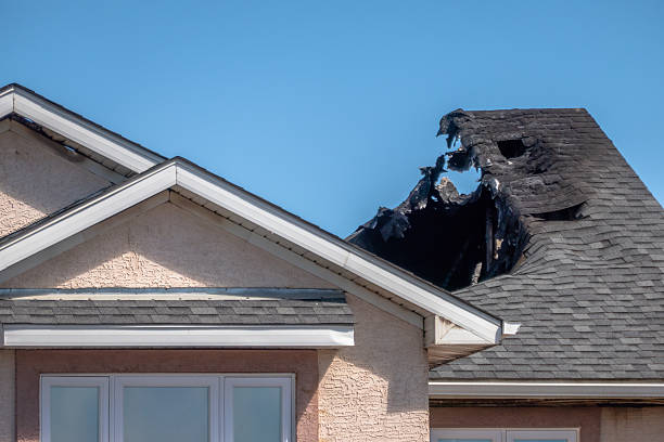Top rated local Odor Removal specialists in Chester Heights, PA